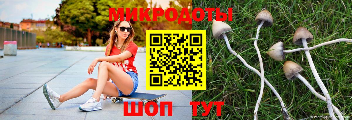 Галлюциногенные грибы ЛСД Донецк